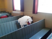 /album/fotogalerij/a20150927-113535-jpg/